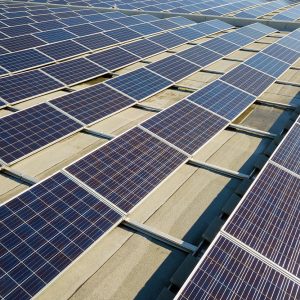 Plantaciónes solares, energía renovables